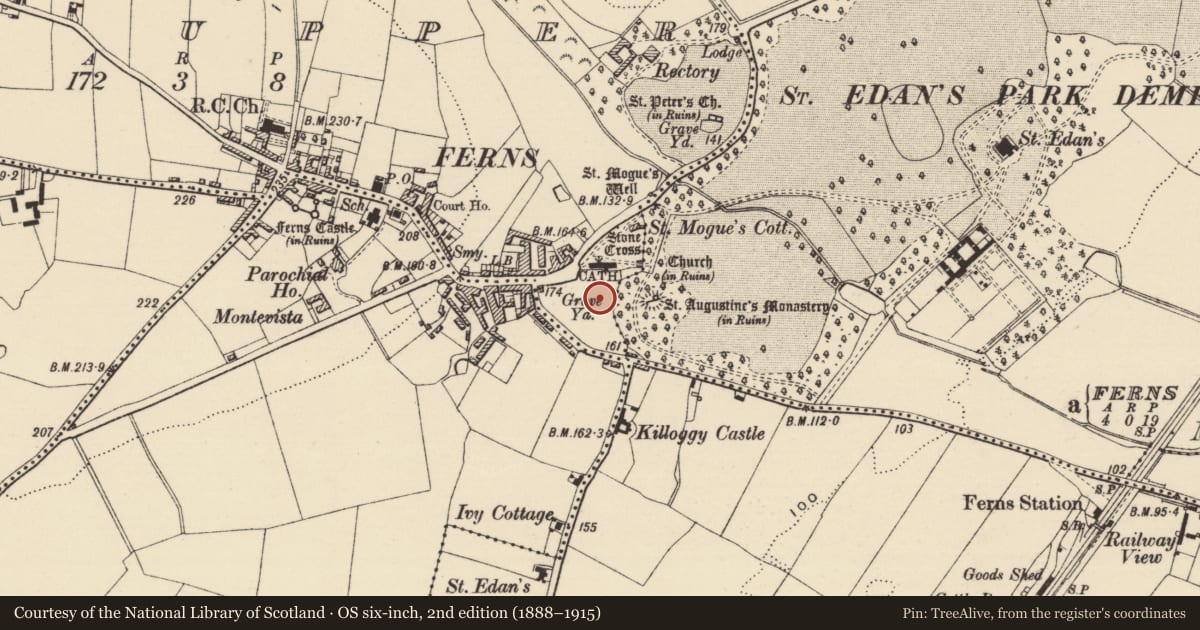 Ordnance Survey six-inch map, 2nd edition (1888–1915) covering the location of Cross-slab, Ferns Upper, County Wexford, with a pin at the register's coordinates
