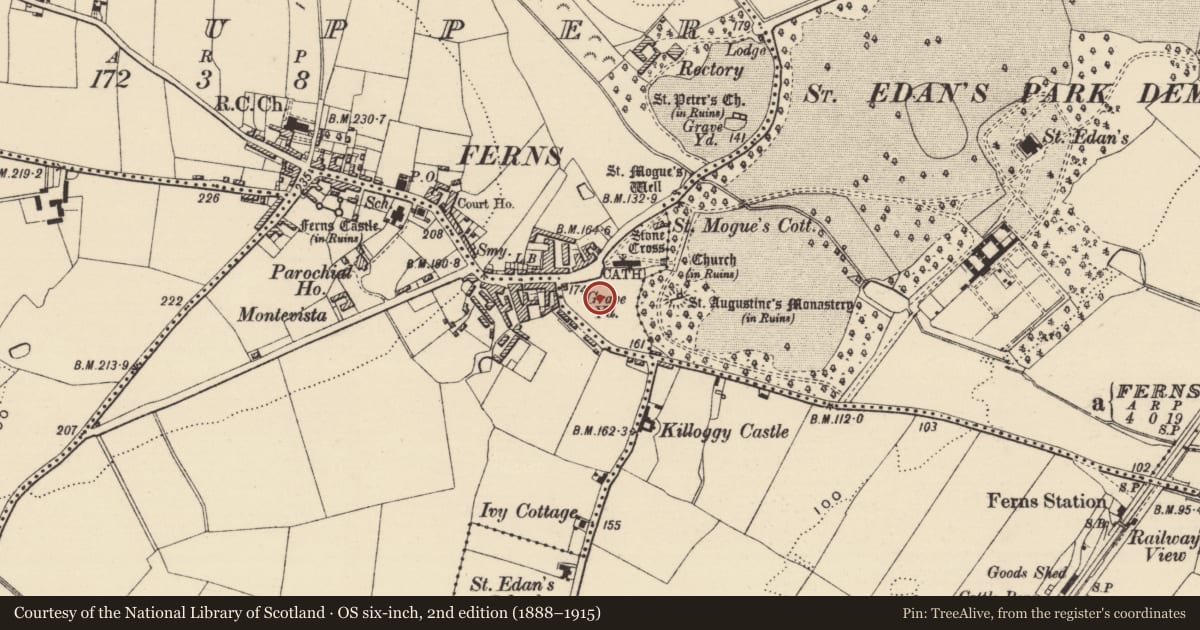 Ordnance Survey six-inch map, 2nd edition (1888–1915) covering the location of Ecclesiastical enclosure, County Wexford, with a pin at the register's coordinates