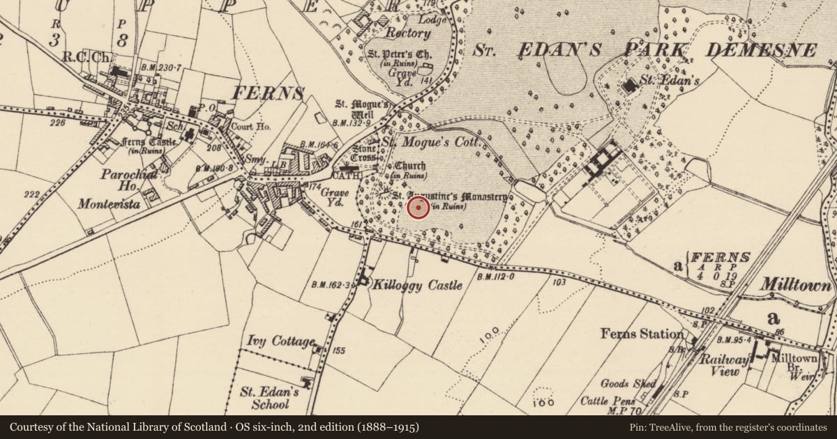 Ordnance Survey six-inch map, 2nd edition (1888–1915) covering the location of Enclosure, Ferns Demesne, County Wexford, with a pin at the register's coordinates