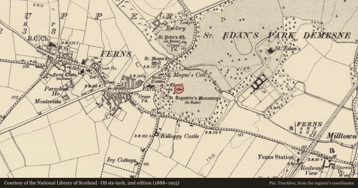 Ordnance Survey six-inch map, 2nd edition (1888–1915) covering the location of Field system, Ferns Demesne, County Wexford, with a pin at the register's coordinates