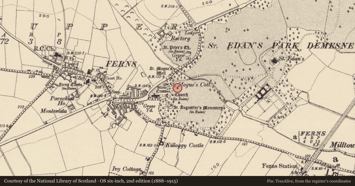 Ordnance Survey six-inch map, 2nd edition (1888–1915) covering the location of Road - road/trackway, Ferns Demesne, County Wexford, with a pin at the register's coordinates