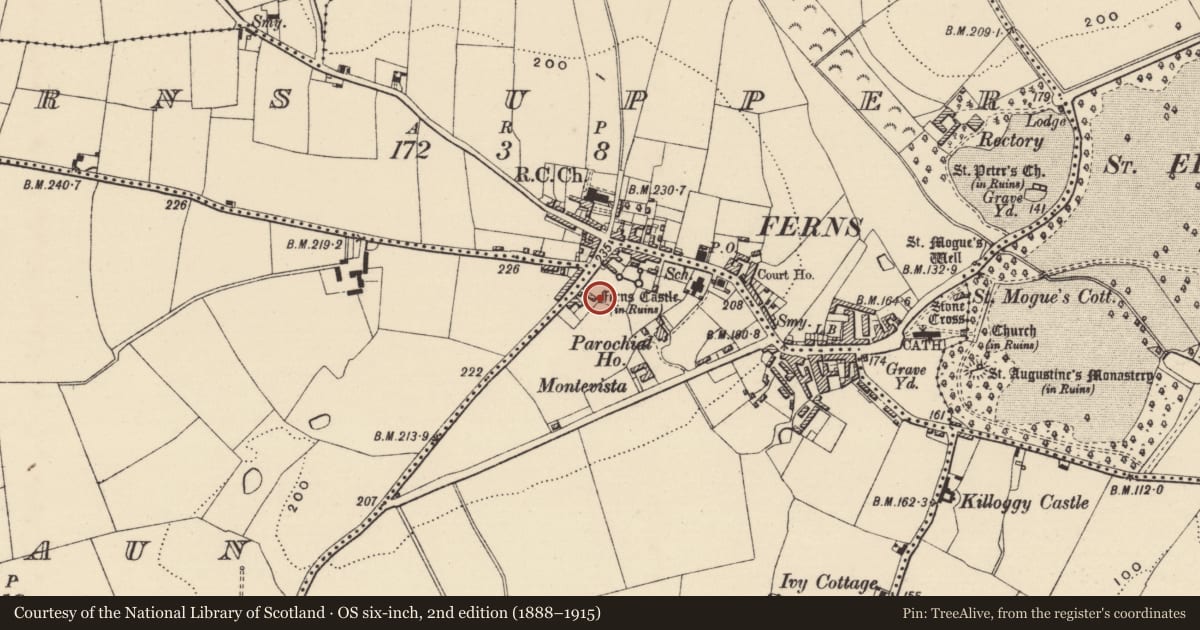 Ordnance Survey six-inch map, 2nd edition (1888–1915) covering the location of Cross - High cross (present location), Ferns Demesne, County Wexford, with a pin at the register's coordinates