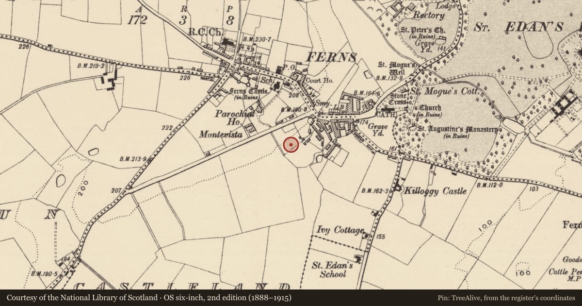 Ordnance Survey six-inch map, 2nd edition (1888–1915) covering the location of Enclosure, Castleland, County Wexford, with a pin at the register's coordinates