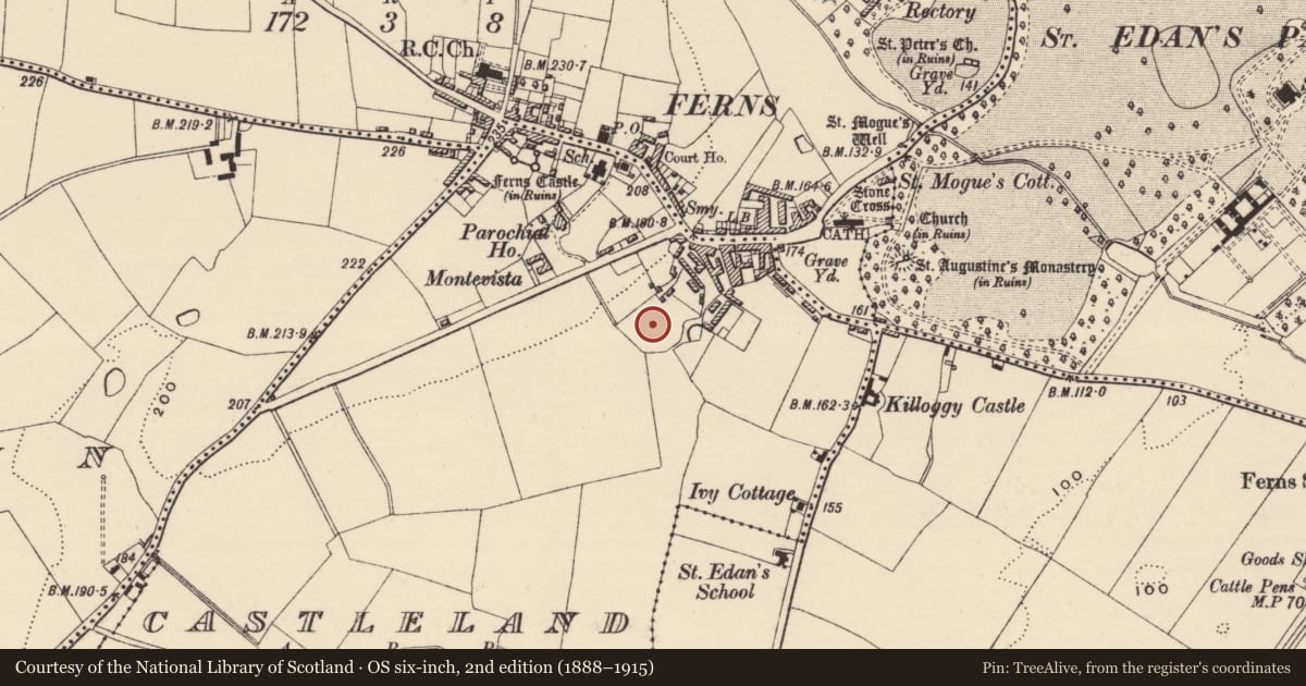 Ordnance Survey six-inch map, 2nd edition (1888–1915) covering the location of House - medieval, Castleland, County Wexford, with a pin at the register's coordinates