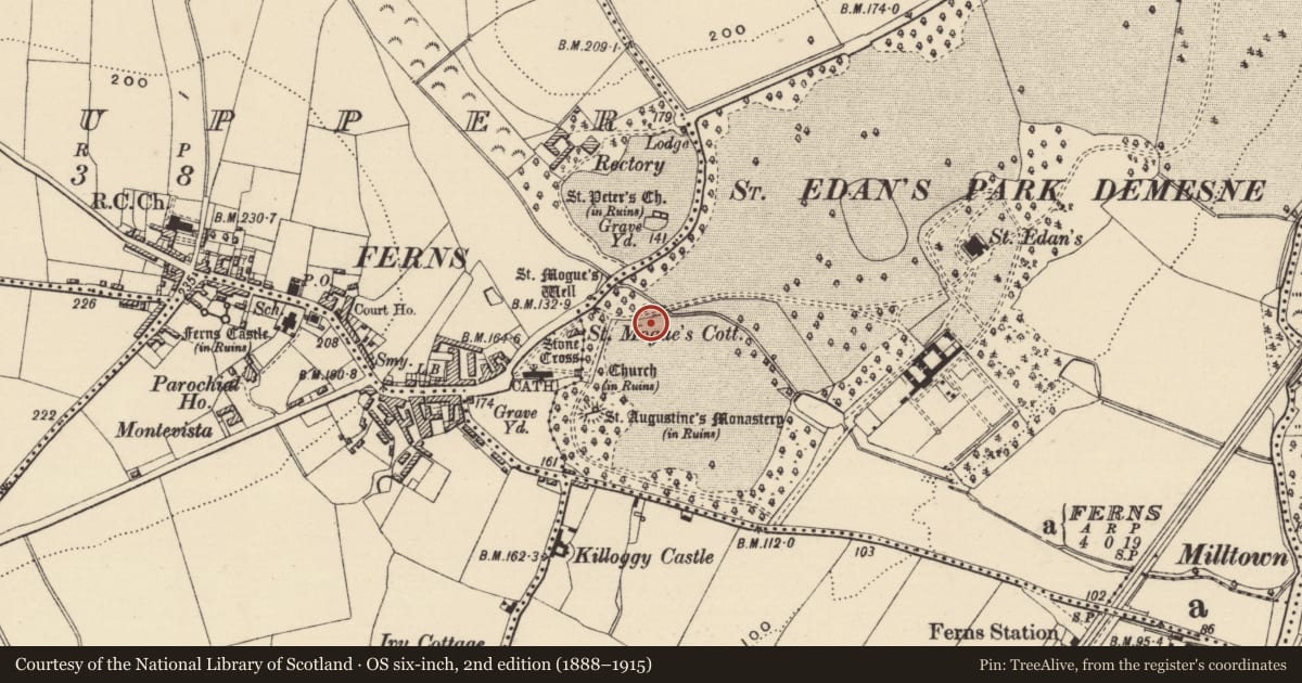 Ordnance Survey six-inch map, 2nd edition (1888–1915) covering the location of Water mill - horizontal-wheeled, Ferns Demesne, County Wexford, with a pin at the register's coordinates