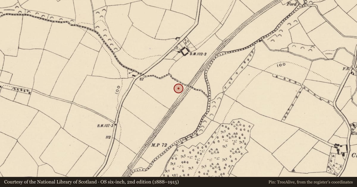 Ordnance Survey six-inch map, 2nd edition (1888–1915) covering the location of Ringfort - unclassified, Ballylough, County Wexford, with a pin at the register's coordinates