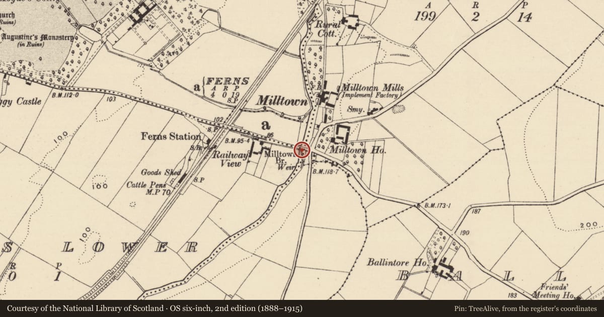 Ordnance Survey six-inch map, 2nd edition (1888–1915) covering the location of Bridge, Ferns Upper, County Wexford, with a pin at the register's coordinates