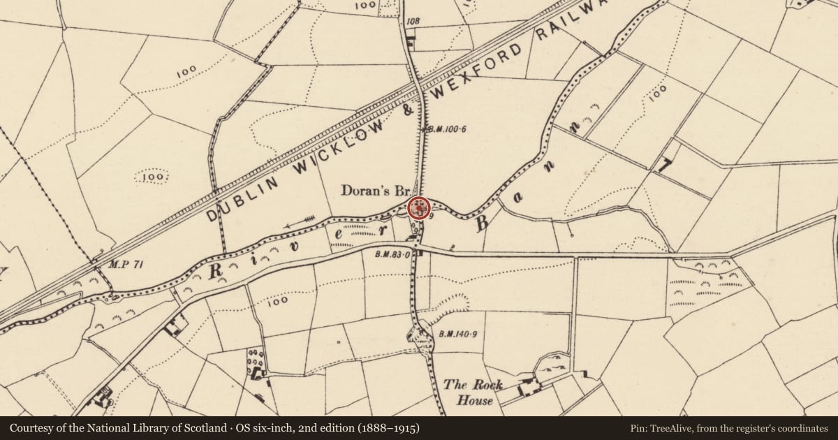 Ordnance Survey six-inch map, 2nd edition (1888–1915) covering the location of Bridge, Ferns Upper, County Wexford, with a pin at the register's coordinates