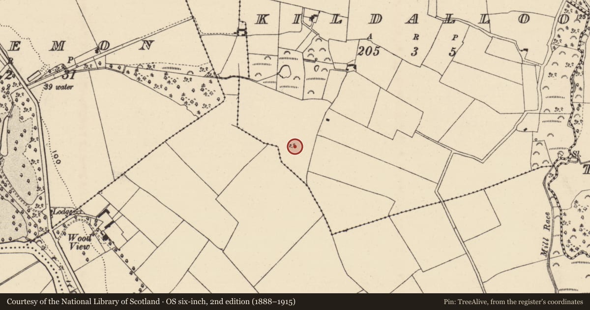 Ordnance Survey six-inch map, 2nd edition (1888–1915) covering the location of Children's burial ground, Kildalloo, County Wexford, with a pin at the register's coordinates