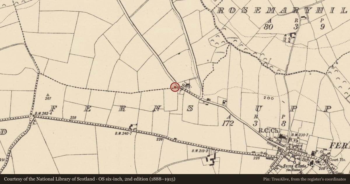 Ordnance Survey six-inch map, 2nd edition (1888–1915) covering the location of Children's burial ground, Newtown, County Wexford, with a pin at the register's coordinates