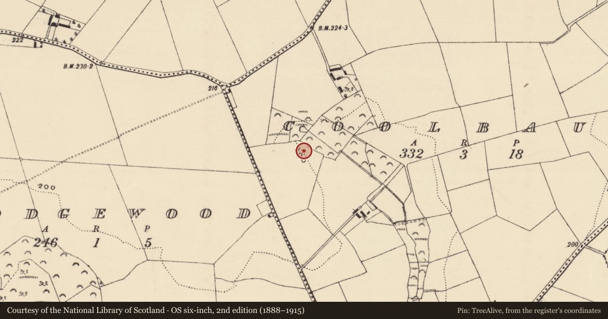 Ordnance Survey six-inch map, 2nd edition (1888–1915) covering the location of Burnt mound, Coolbaun, County Wexford, with a pin at the register's coordinates