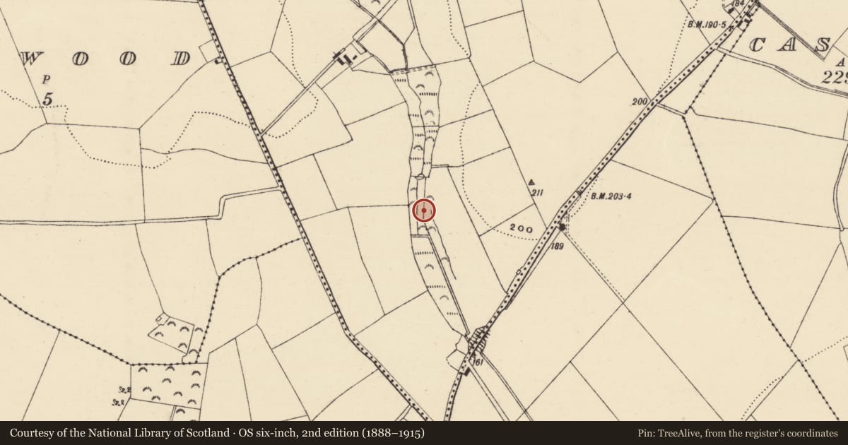 Ordnance Survey six-inch map, 2nd edition (1888–1915) covering the location of Burnt mound, Coolbaun, County Wexford, with a pin at the register's coordinates