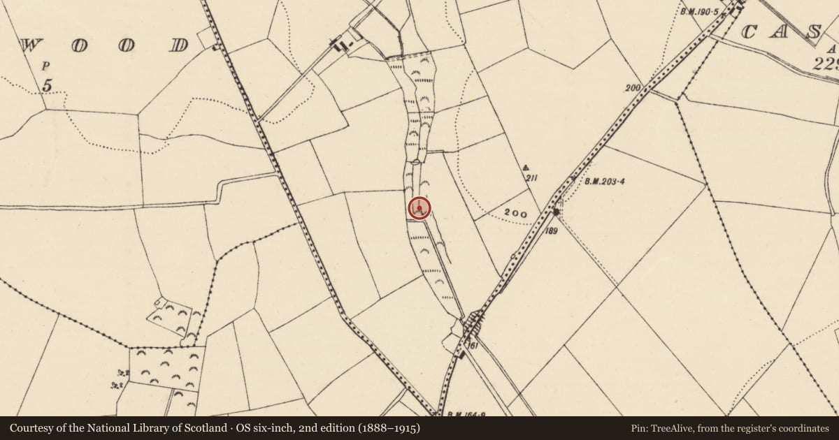 Ordnance Survey six-inch map, 2nd edition (1888–1915) covering the location of Burnt mound, Coolbaun, County Wexford, with a pin at the register's coordinates