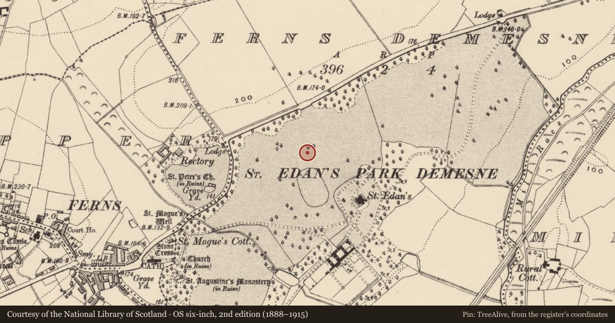 Ordnance Survey six-inch map, 2nd edition (1888–1915) covering the location of Ringfort - rath, Ferns Demesne, County Wexford, with a pin at the register's coordinates