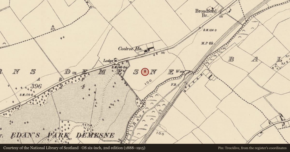 Ordnance Survey six-inch map, 2nd edition (1888–1915) covering the location of Ring-ditch, Ferns Demesne, County Wexford, with a pin at the register's coordinates