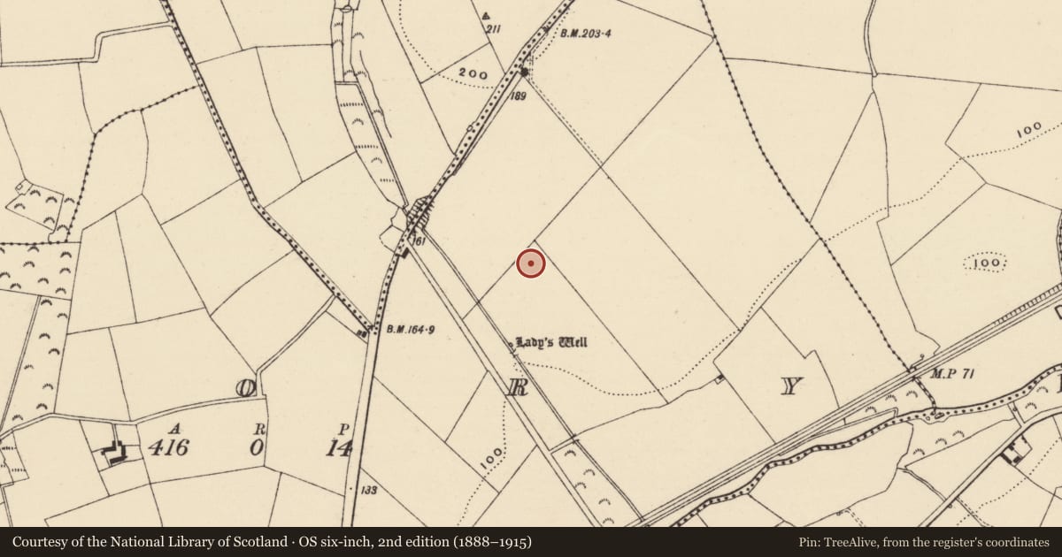 Ordnance Survey six-inch map, 2nd edition (1888–1915) covering the location of Ring-ditch, Crory, County Wexford, with a pin at the register's coordinates
