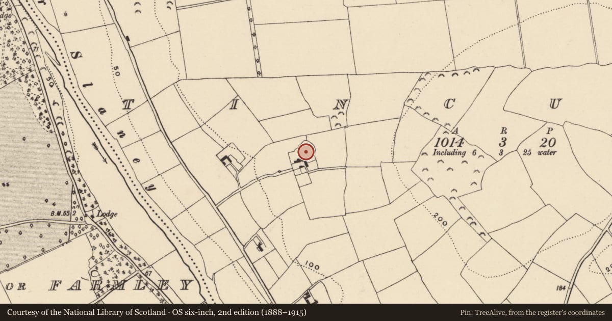 Ordnance Survey six-inch map, 2nd edition (1888–1915) covering the location of Ringfort - rath, Tincurry, County Wexford, with a pin at the register's coordinates