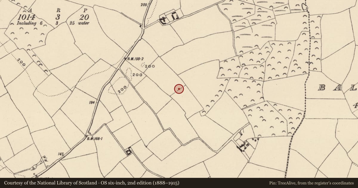 Ordnance Survey six-inch map, 2nd edition (1888–1915) covering the location of Ringfort - rath, Tincurry, County Wexford, with a pin at the register's coordinates
