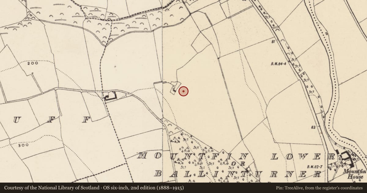 Ordnance Survey six-inch map, 2nd edition (1888–1915) covering the location of Ringfort - rath, Mountfin Lower Or Ballinturner, County Wexford, with a pin at the register's coordinates