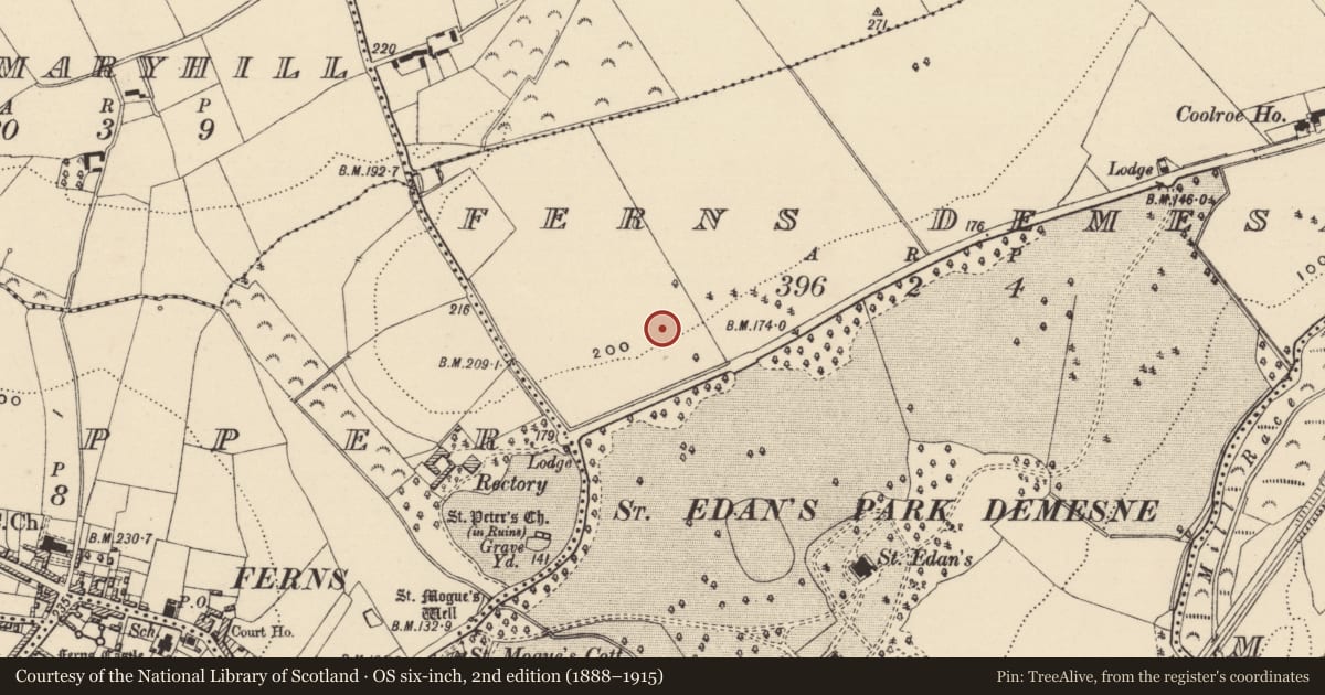 Ordnance Survey six-inch map, 2nd edition (1888–1915) covering the location of Ring-ditch, Ferns Demesne, County Wexford, with a pin at the register's coordinates