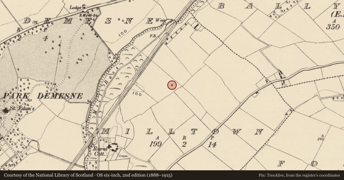 Ordnance Survey six-inch map, 2nd edition (1888–1915) covering the location of Ringfort - rath, Milltown, County Wexford, with a pin at the register's coordinates
