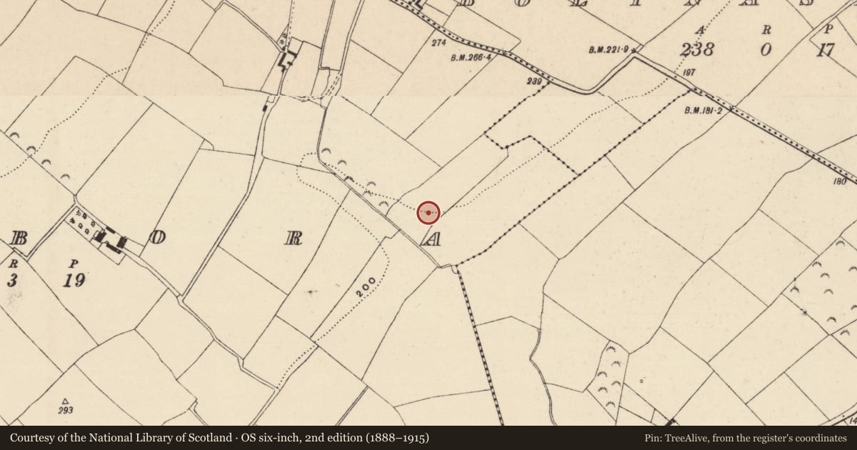 Ordnance Survey six-inch map, 2nd edition (1888–1915) covering the location of Enclosure, Kilbora, County Wexford, with a pin at the register's coordinates