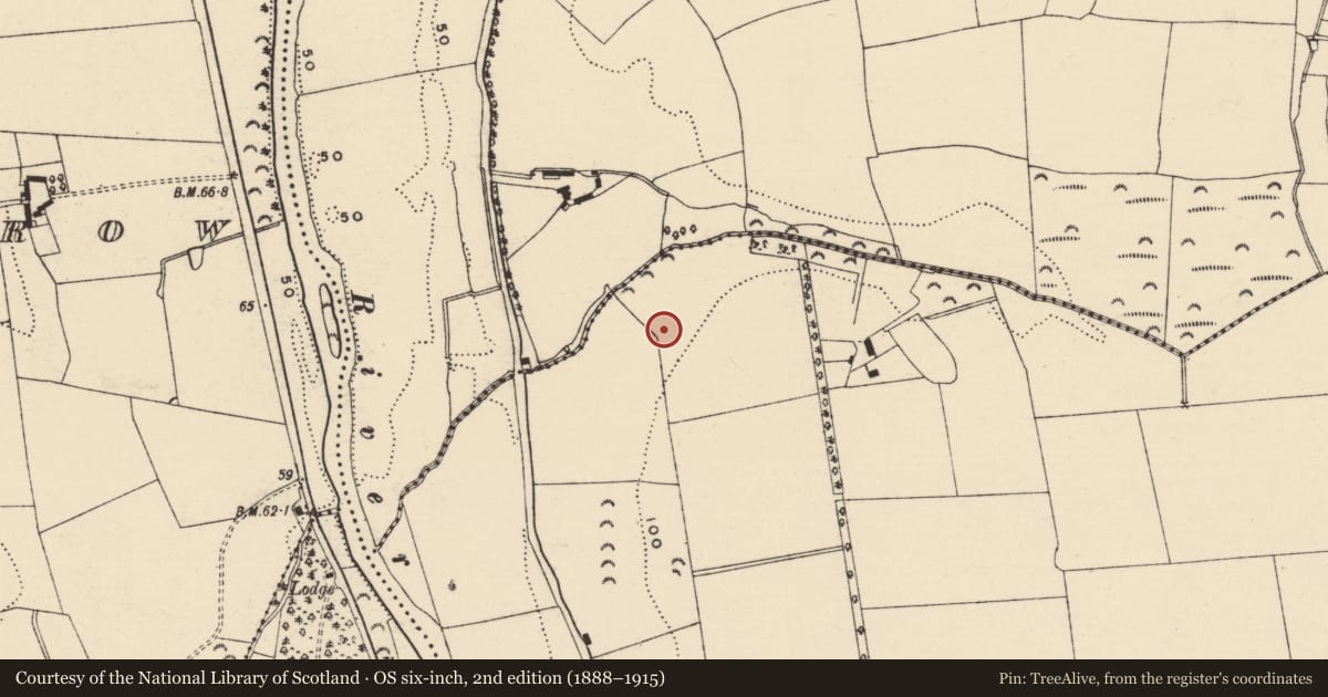 Ordnance Survey six-inch map, 2nd edition (1888–1915) covering the location of Enclosure, Tincurry, County Wexford, with a pin at the register's coordinates