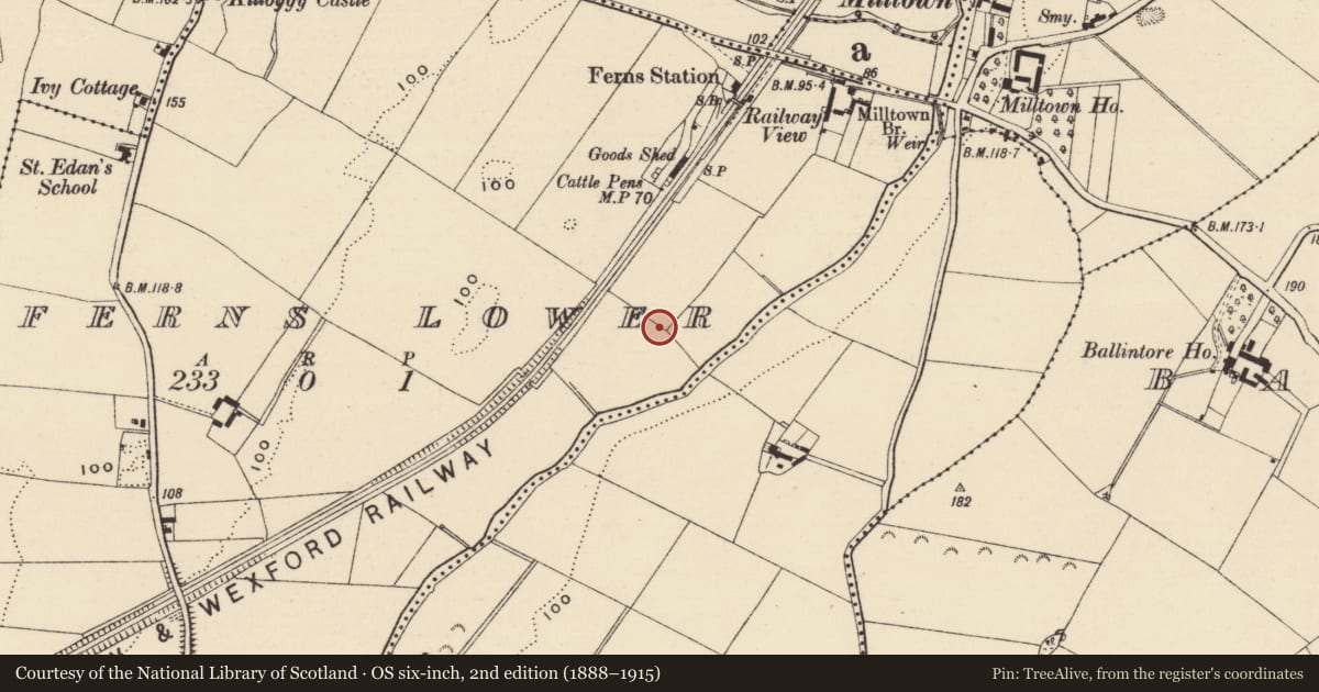 Ordnance Survey six-inch map, 2nd edition (1888–1915) covering the location of Ringfort - rath, Ferns Lower, County Wexford, with a pin at the register's coordinates