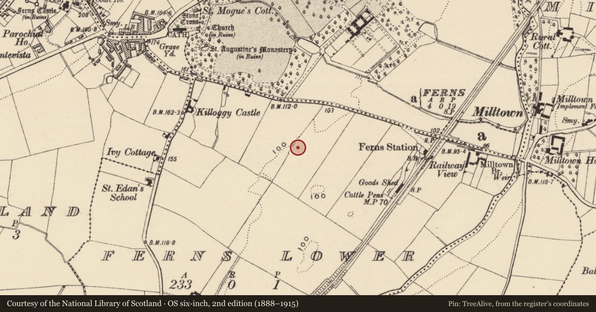 Ordnance Survey six-inch map, 2nd edition (1888–1915) covering the location of Barrow - ditch barrow, Ferns Lower, County Wexford, with a pin at the register's coordinates