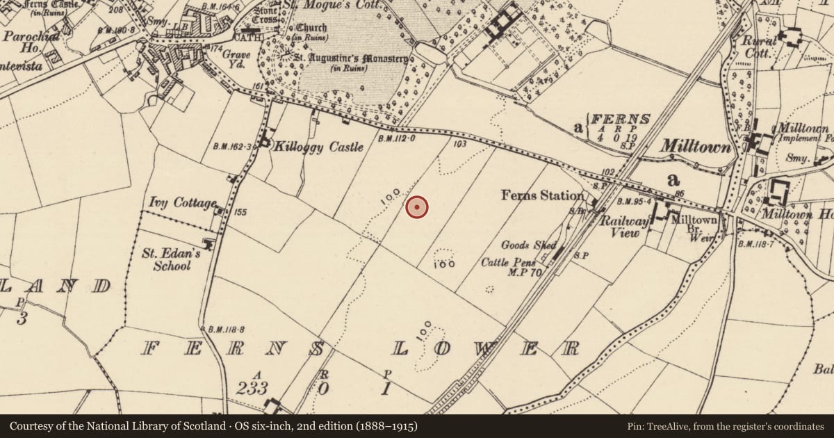 Ordnance Survey six-inch map, 2nd edition (1888–1915) covering the location of Excavation - miscellaneous, Ferns Lower, County Wexford, with a pin at the register's coordinates