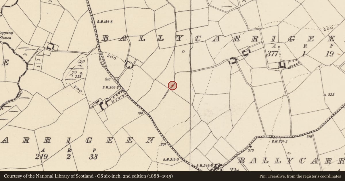 Ordnance Survey six-inch map, 2nd edition (1888–1915) covering the location of Burnt mound, Ballycarrigeen Lower, County Wexford, with a pin at the register's coordinates