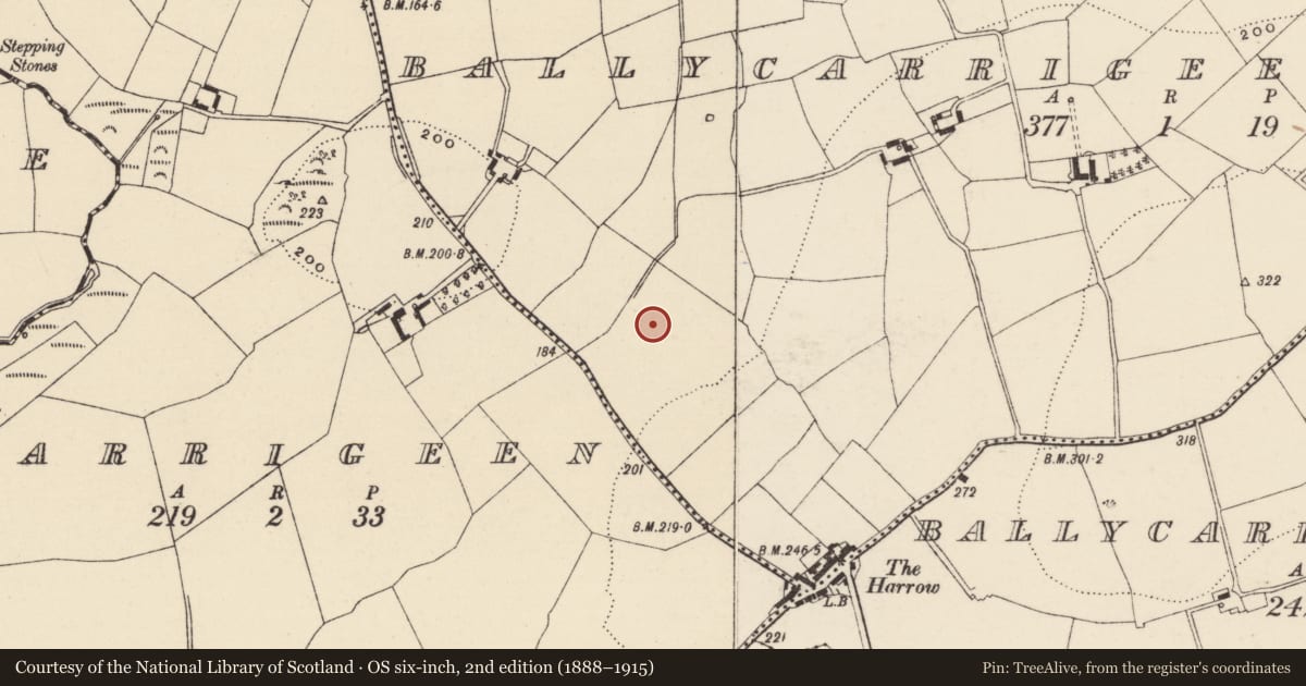 Ordnance Survey six-inch map, 2nd edition (1888–1915) covering the location of Fulacht fia, Ballycarrigeen Lower, County Wexford, with a pin at the register's coordinates