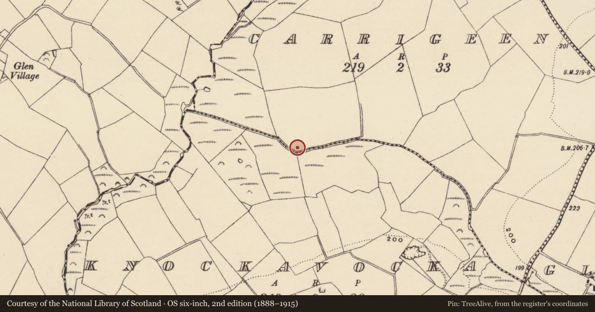 Ordnance Survey six-inch map, 2nd edition (1888–1915) covering the location of Fulacht fia, Carrigeen, County Wexford, with a pin at the register's coordinates
