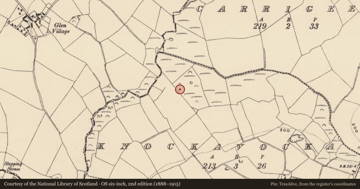 Ordnance Survey six-inch map, 2nd edition (1888–1915) covering the location of Fulacht fia, Knockavocka, County Wexford, with a pin at the register's coordinates