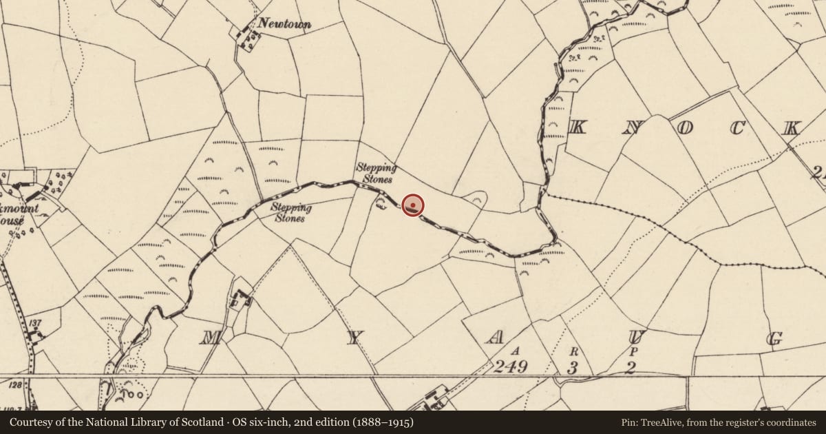 Ordnance Survey six-inch map, 2nd edition (1888–1915) covering the location of Fulacht fia, Effernoge, County Wexford, with a pin at the register's coordinates