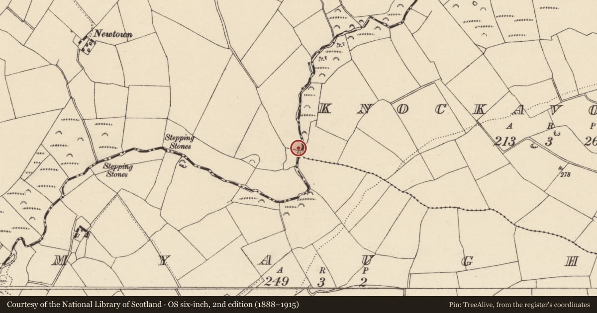 Ordnance Survey six-inch map, 2nd edition (1888–1915) covering the location of Burnt mound, Effernoge, County Wexford, with a pin at the register's coordinates