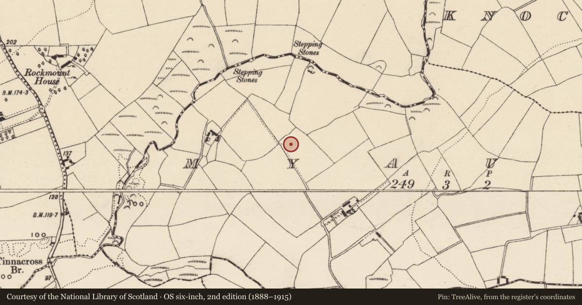 Ordnance Survey six-inch map, 2nd edition (1888–1915) covering the location of Cremation pit, Myaugh, County Wexford, with a pin at the register's coordinates