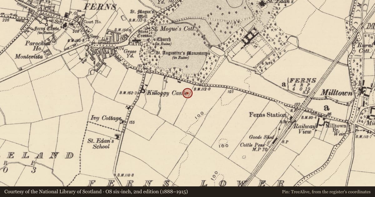 Ordnance Survey six-inch map, 2nd edition (1888–1915) covering the location of Enclosure - large enclosure, Ferns Demesne, County Wexford, with a pin at the register's coordinates