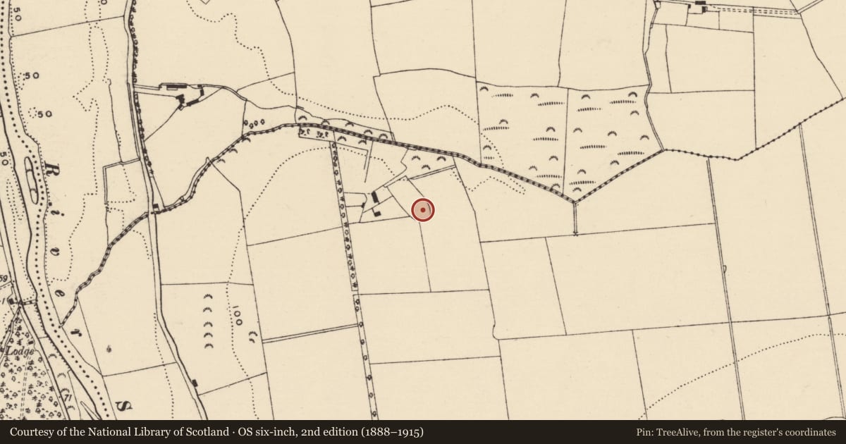 Ordnance Survey six-inch map, 2nd edition (1888–1915) covering the location of Ringfort - rath, Tincurry, County Wexford, with a pin at the register's coordinates