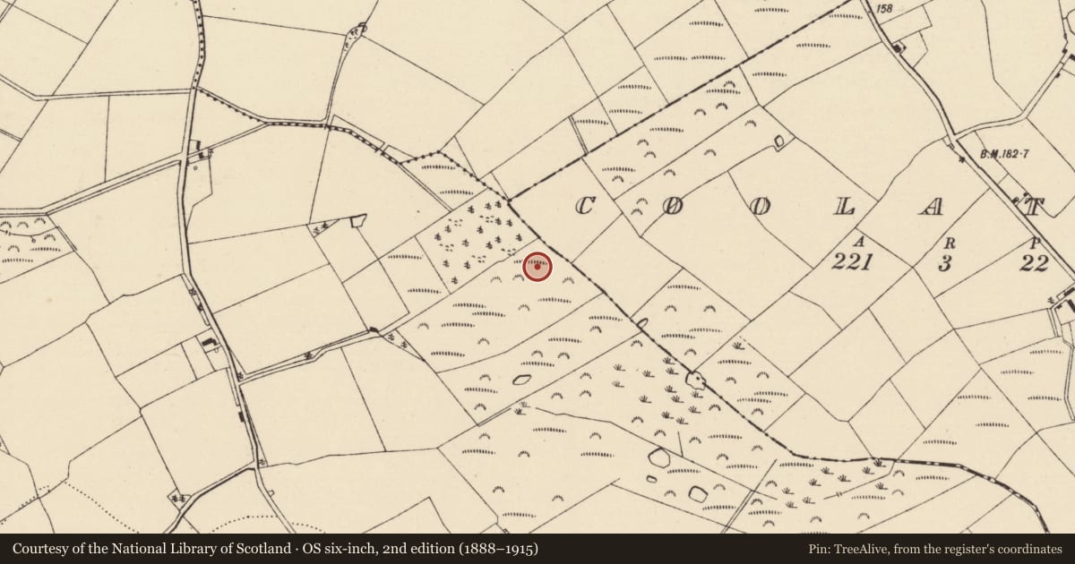 Ordnance Survey six-inch map, 2nd edition (1888–1915) covering the location of Enclosure, Effernoge, County Wexford, with a pin at the register's coordinates