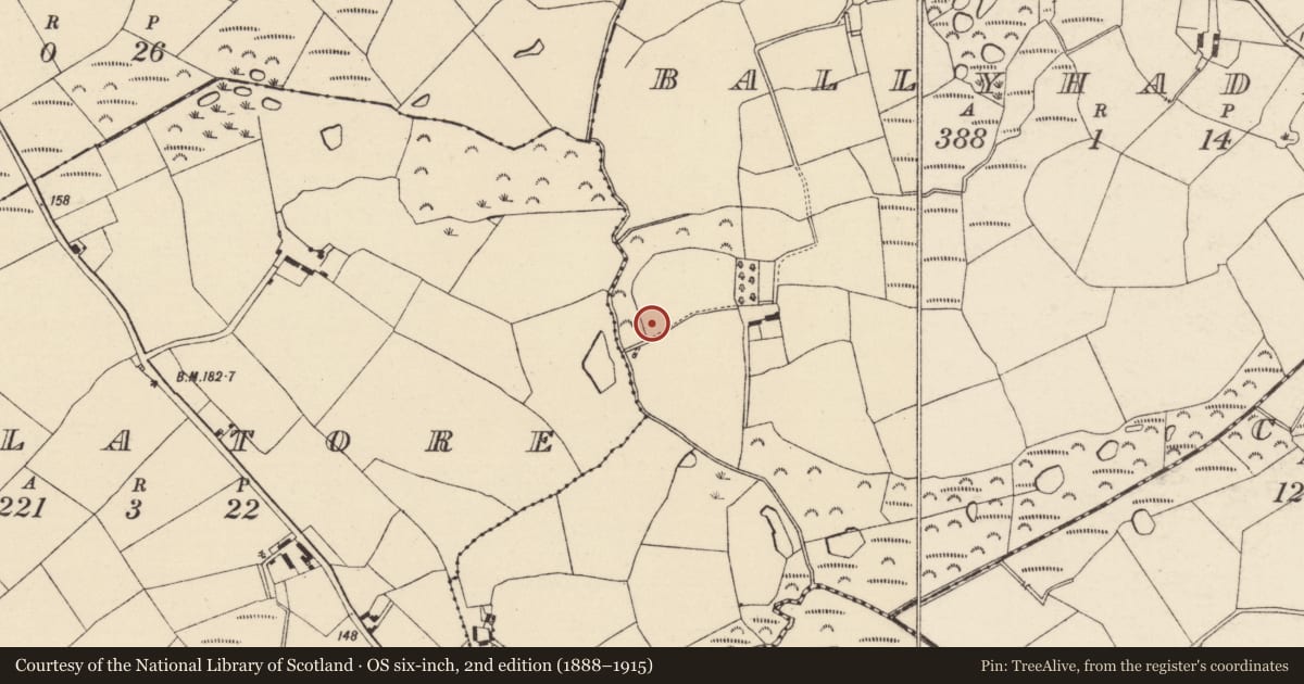 Ordnance Survey six-inch map, 2nd edition (1888–1915) covering the location of Ringfort - rath, Ballyhaddock, County Wexford, with a pin at the register's coordinates