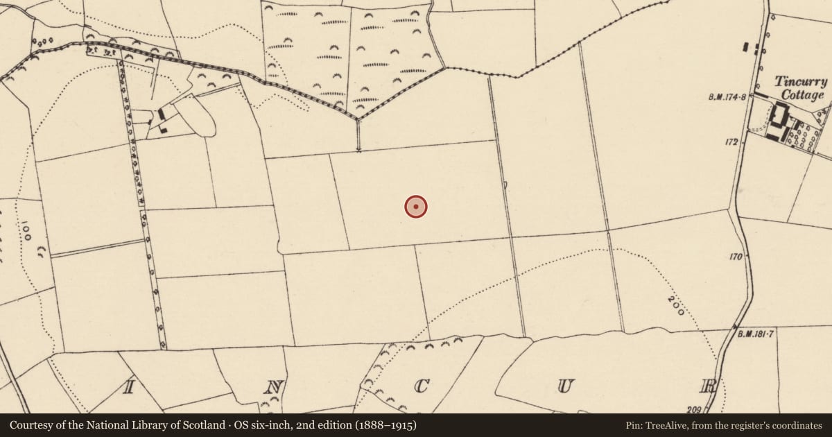 Ordnance Survey six-inch map, 2nd edition (1888–1915) covering the location of Enclosure - large enclosure, Tincurry, County Wexford, with a pin at the register's coordinates