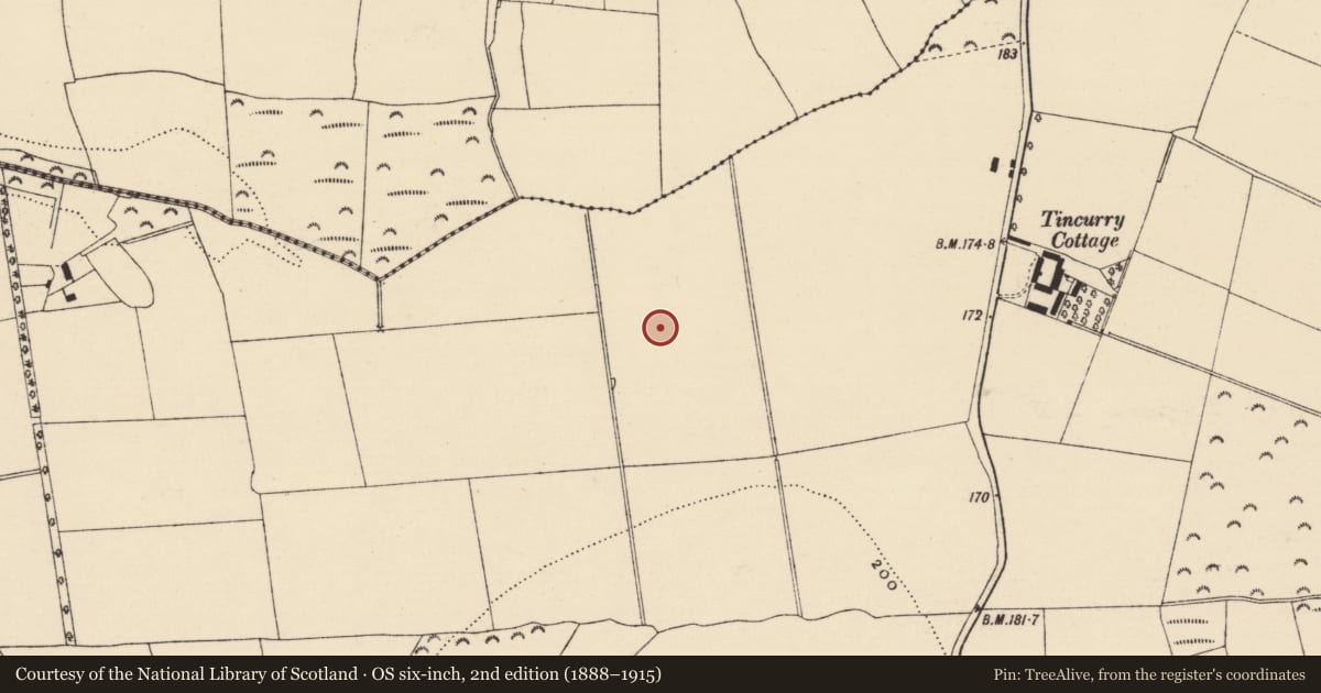 Ordnance Survey six-inch map, 2nd edition (1888–1915) covering the location of Enclosure, Tincurry, County Wexford, with a pin at the register's coordinates