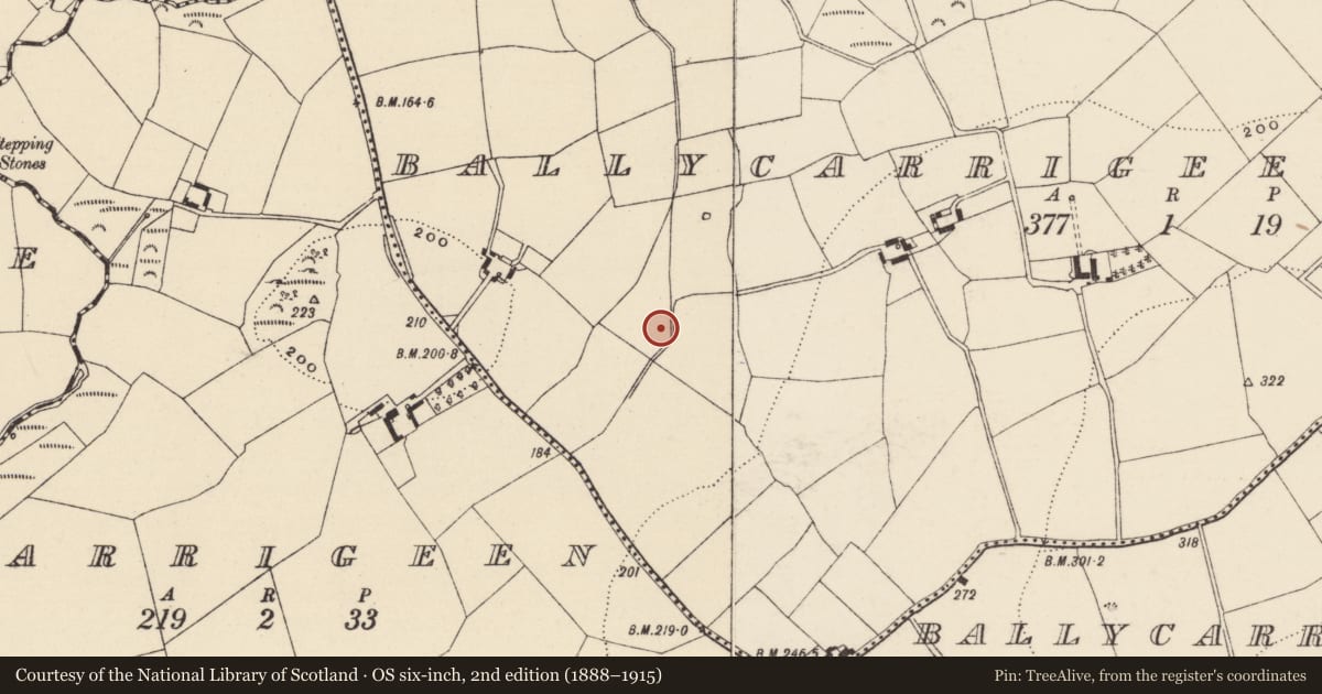 Ordnance Survey six-inch map, 2nd edition (1888–1915) covering the location of Fulacht fia, Ballycarrigeen Lower, County Wexford, with a pin at the register's coordinates