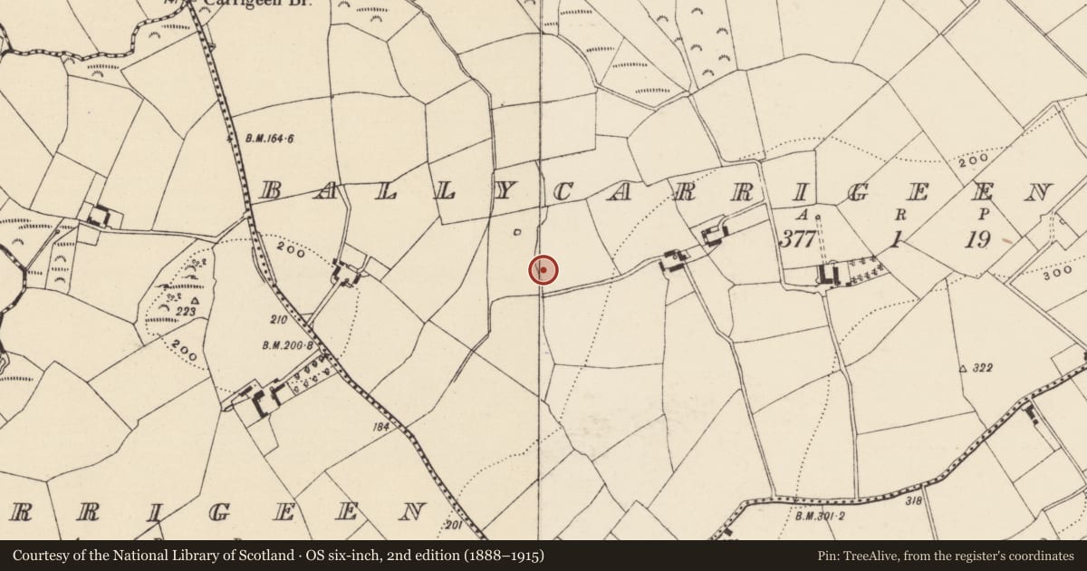 Ordnance Survey six-inch map, 2nd edition (1888–1915) covering the location of Fulacht fia, Ballycarrigeen Lower, County Wexford, with a pin at the register's coordinates