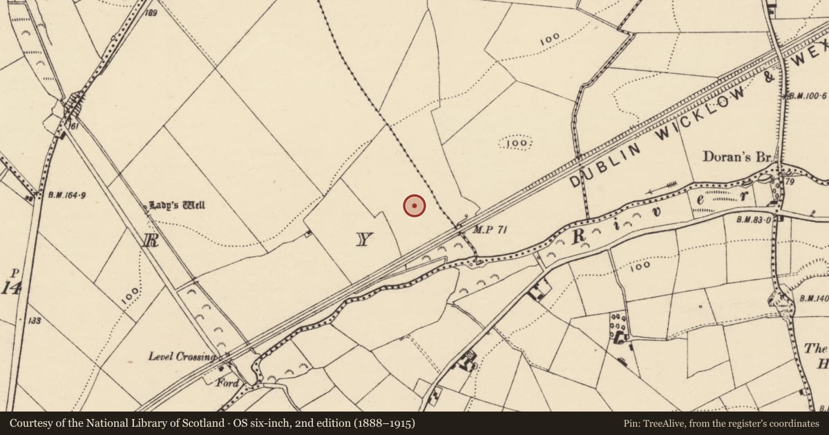 Ordnance Survey six-inch map, 2nd edition (1888–1915) covering the location of Enclosure - large enclosure, Crory, County Wexford, with a pin at the register's coordinates