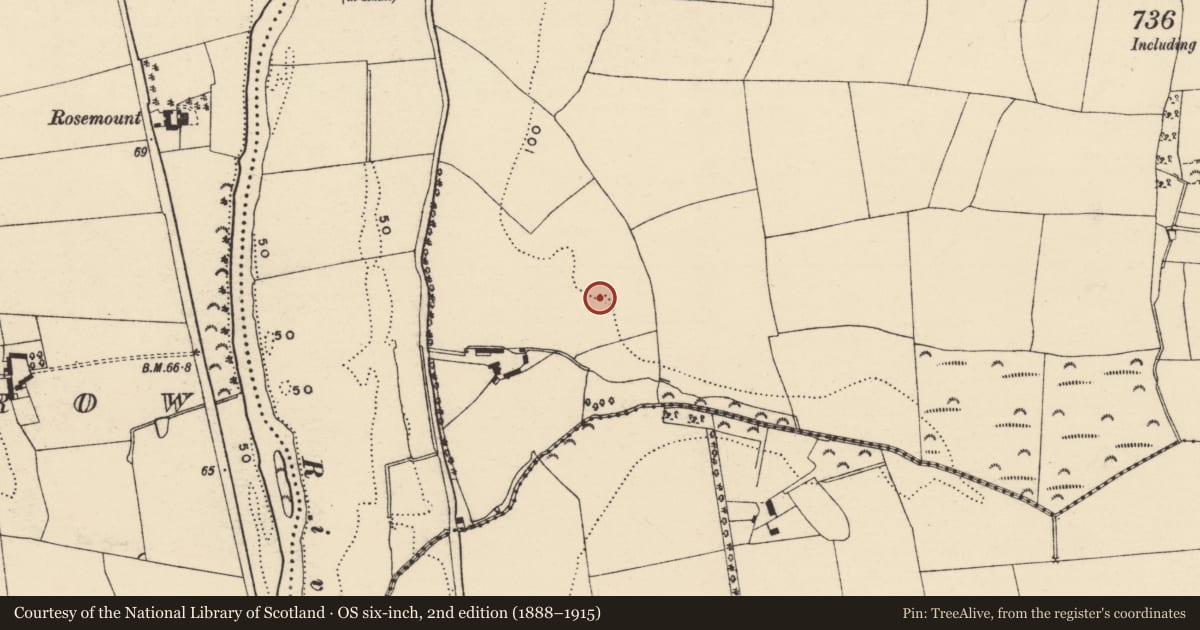 Ordnance Survey six-inch map, 2nd edition (1888–1915) covering the location of Enclosure, Ballycarney, County Wexford, with a pin at the register's coordinates