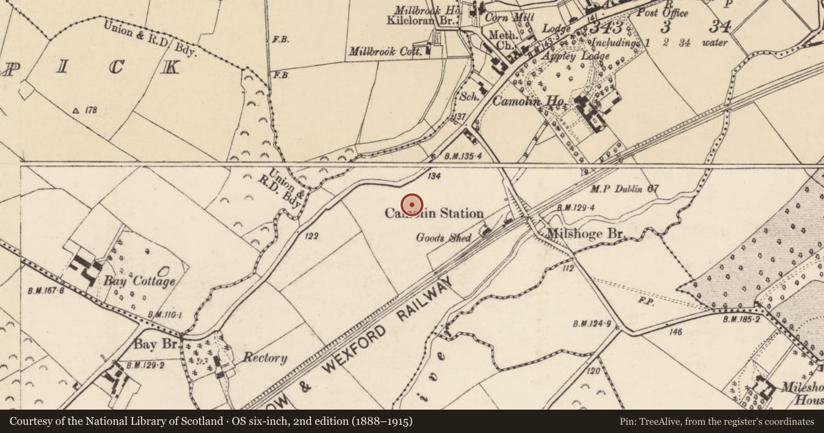Ordnance Survey six-inch map, 2nd edition (1888–1915) covering the location of Ring-ditch, Camolin, County Wexford, with a pin at the register's coordinates