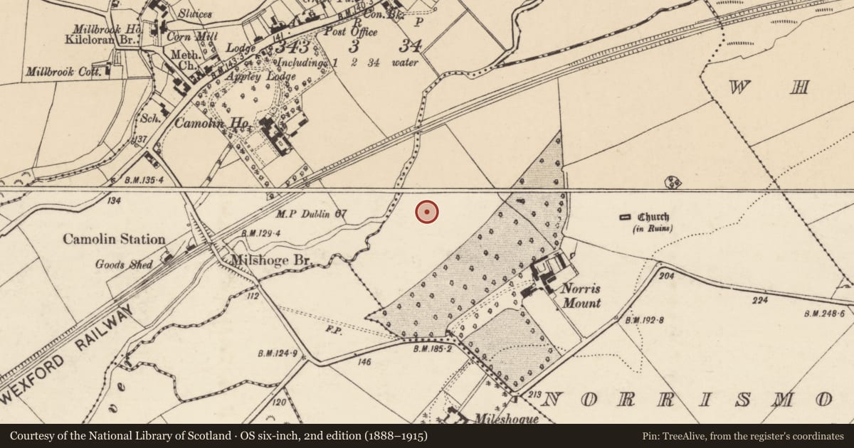Ordnance Survey six-inch map, 2nd edition (1888–1915) covering the location of Ringfort - rath, Norrismount, County Wexford, with a pin at the register's coordinates