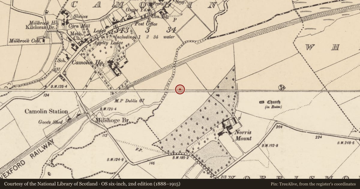 Ordnance Survey six-inch map, 2nd edition (1888–1915) covering the location of Ringfort - rath, Norrismount, County Wexford, with a pin at the register's coordinates